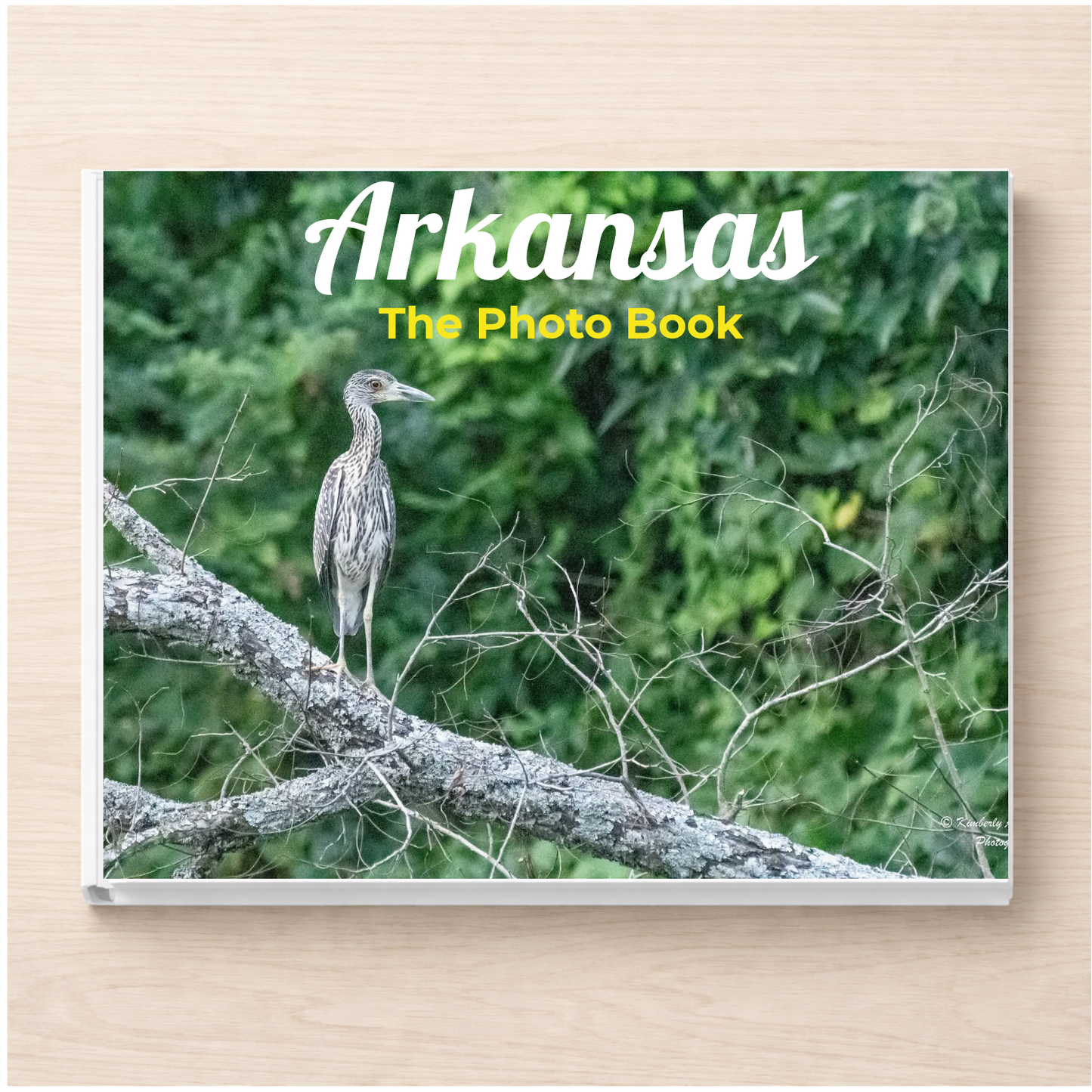 Arkansas: The Photo Book