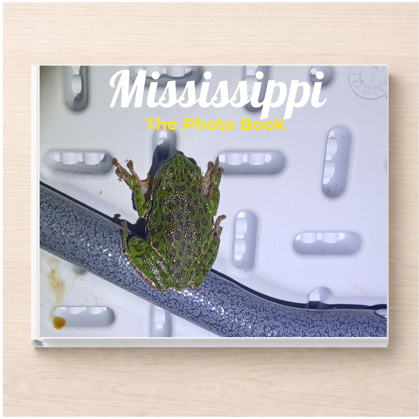 Mississippi: The Photo Book