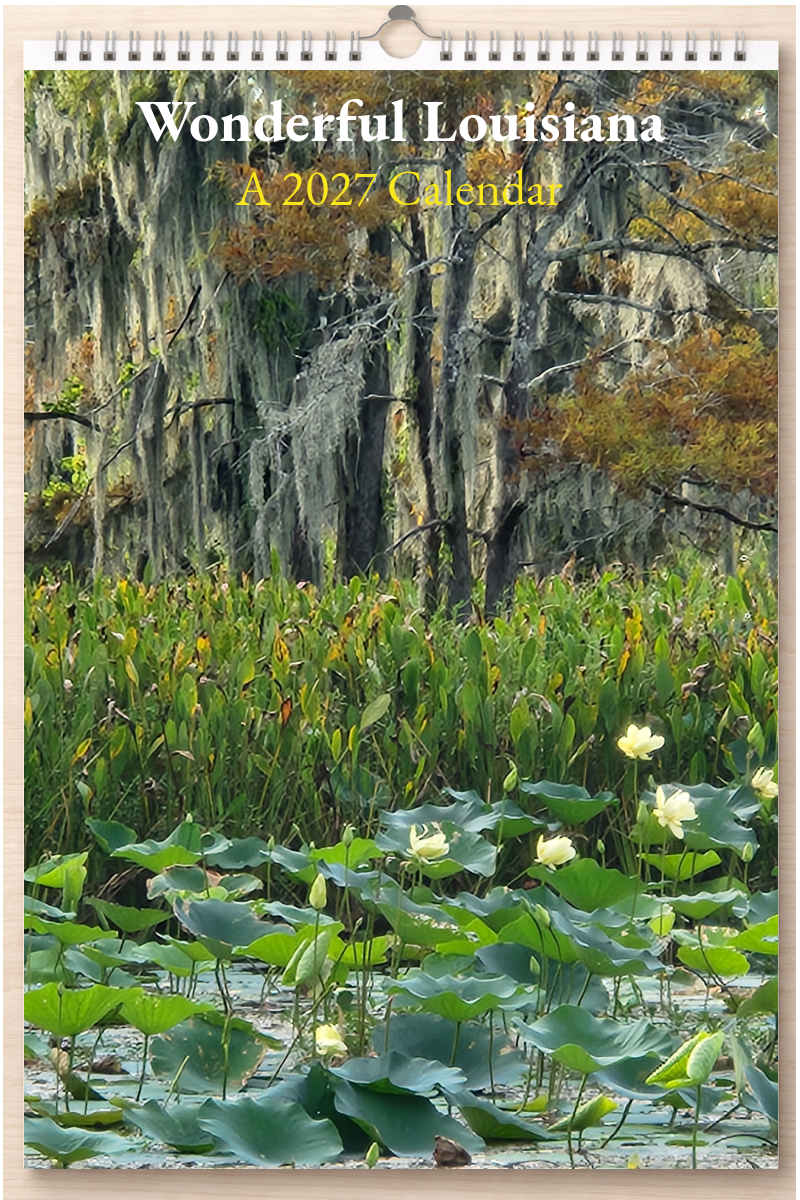 Wonderful Louisiana: A 2027 Calendar