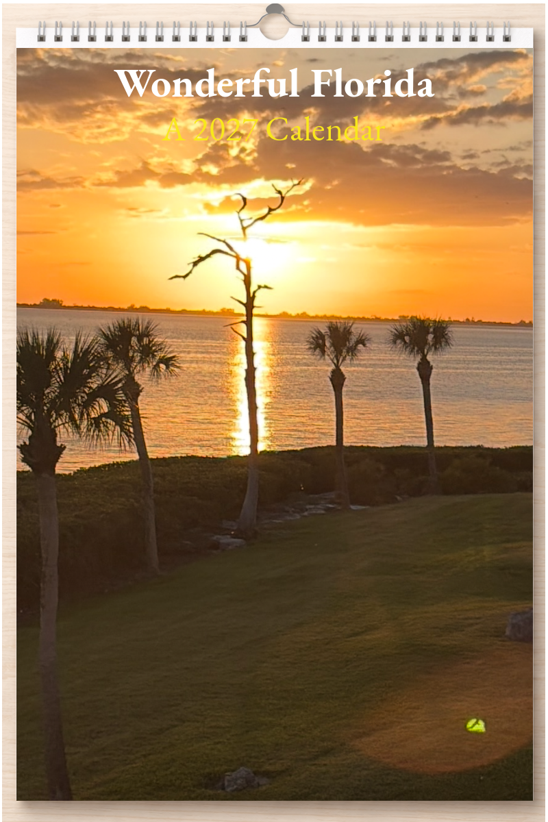 Wonderful Florida: A 2027 Calendar