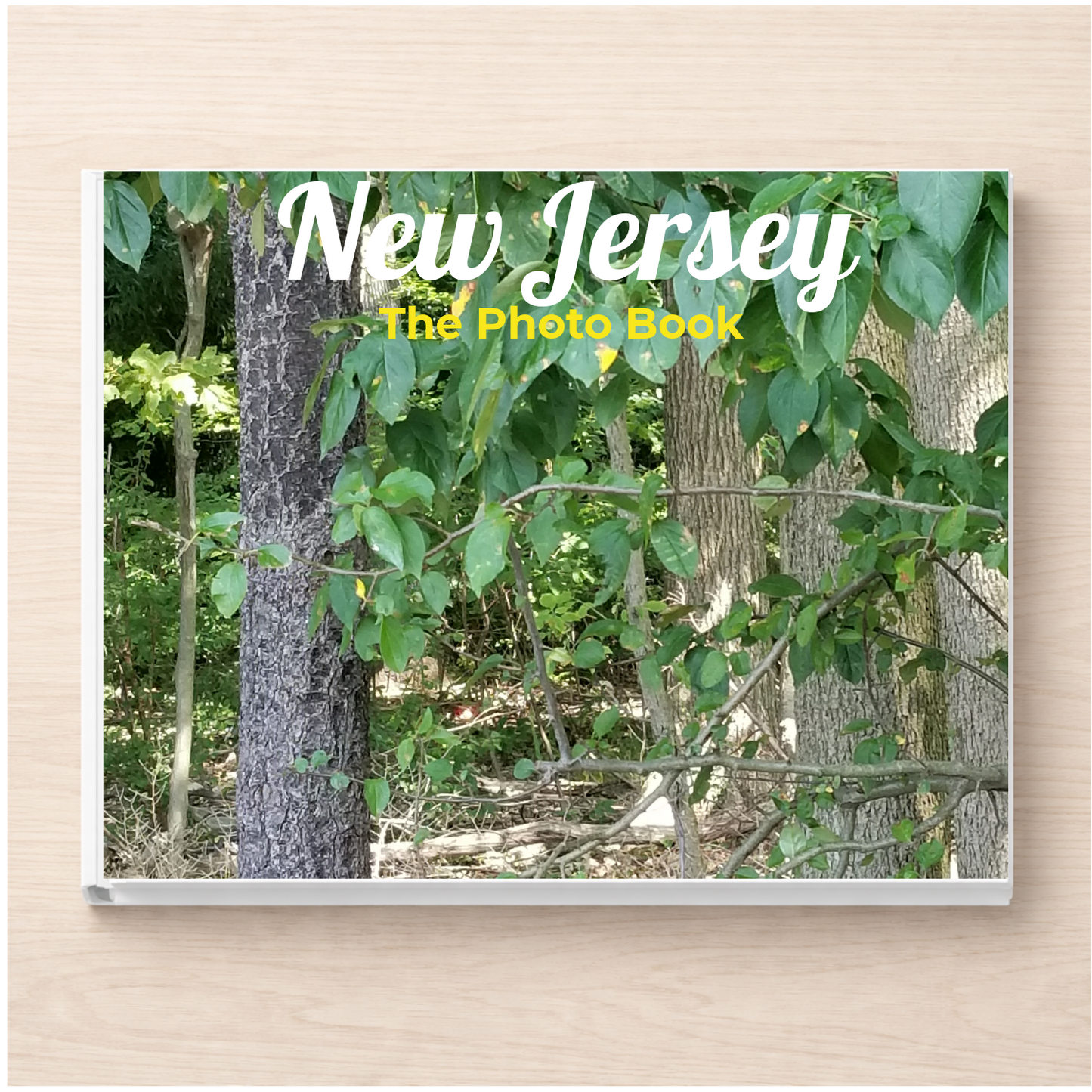 New Jersey: The Photo Book