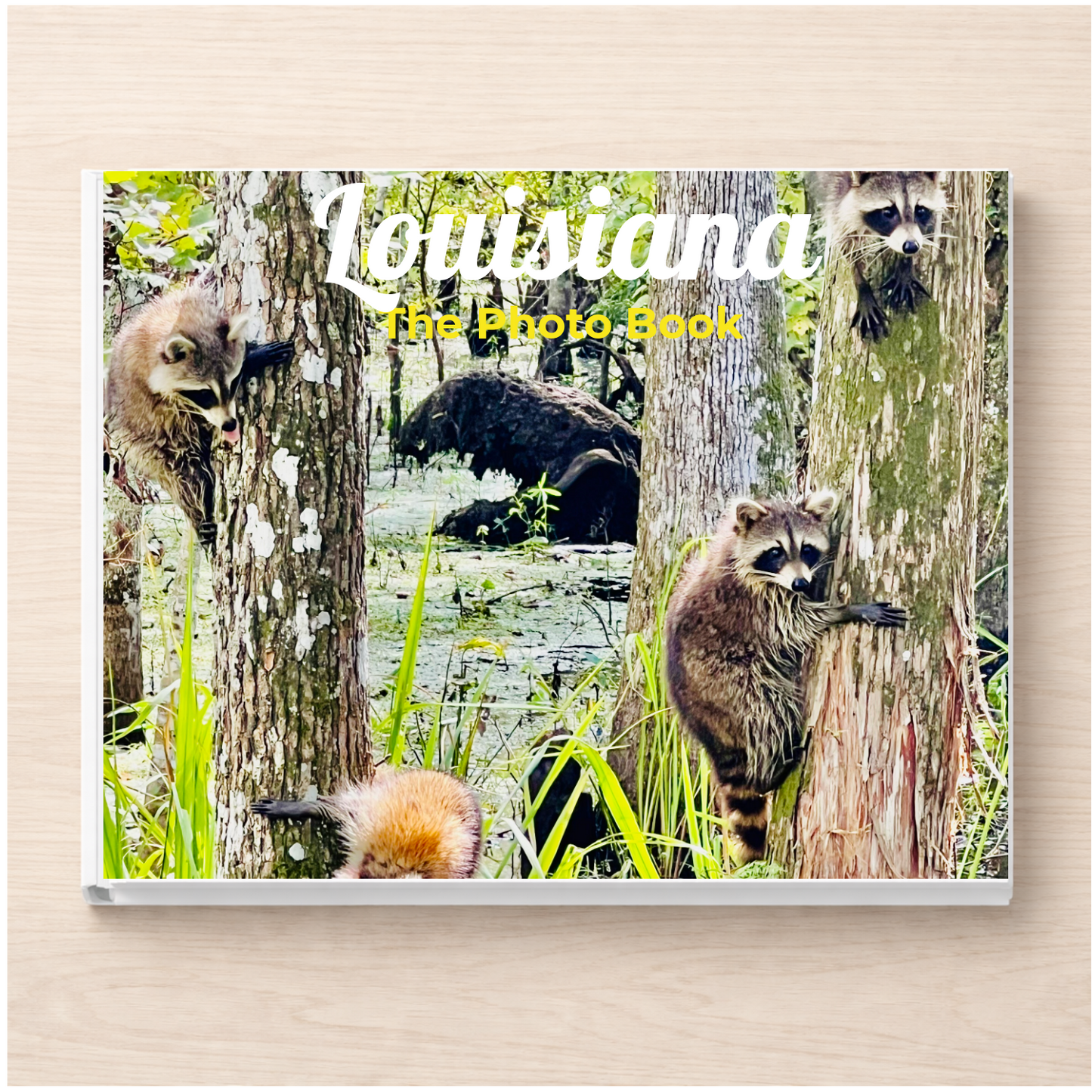 Louisiana: The Photo Book