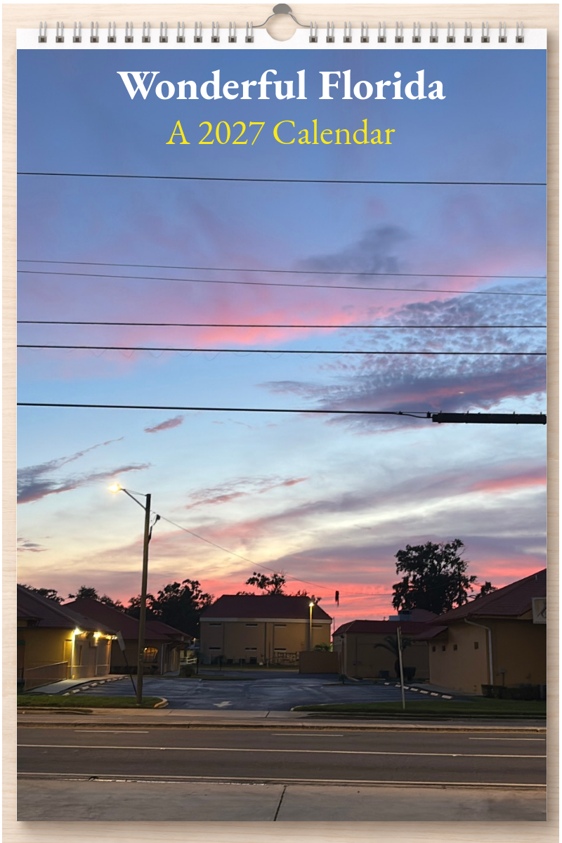Wonderful Florida: A 2027 Calendar