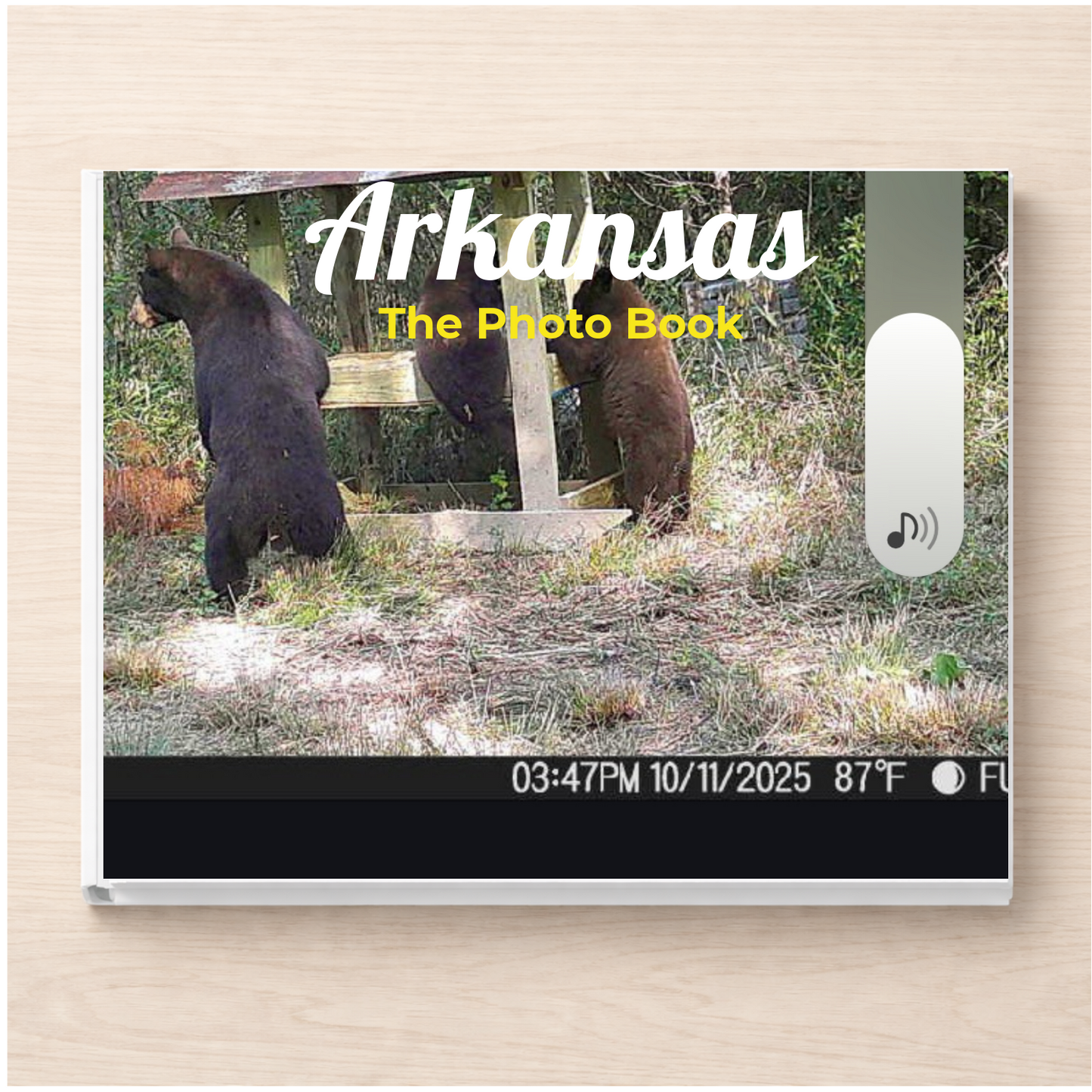 Arkansas: The Photo Book
