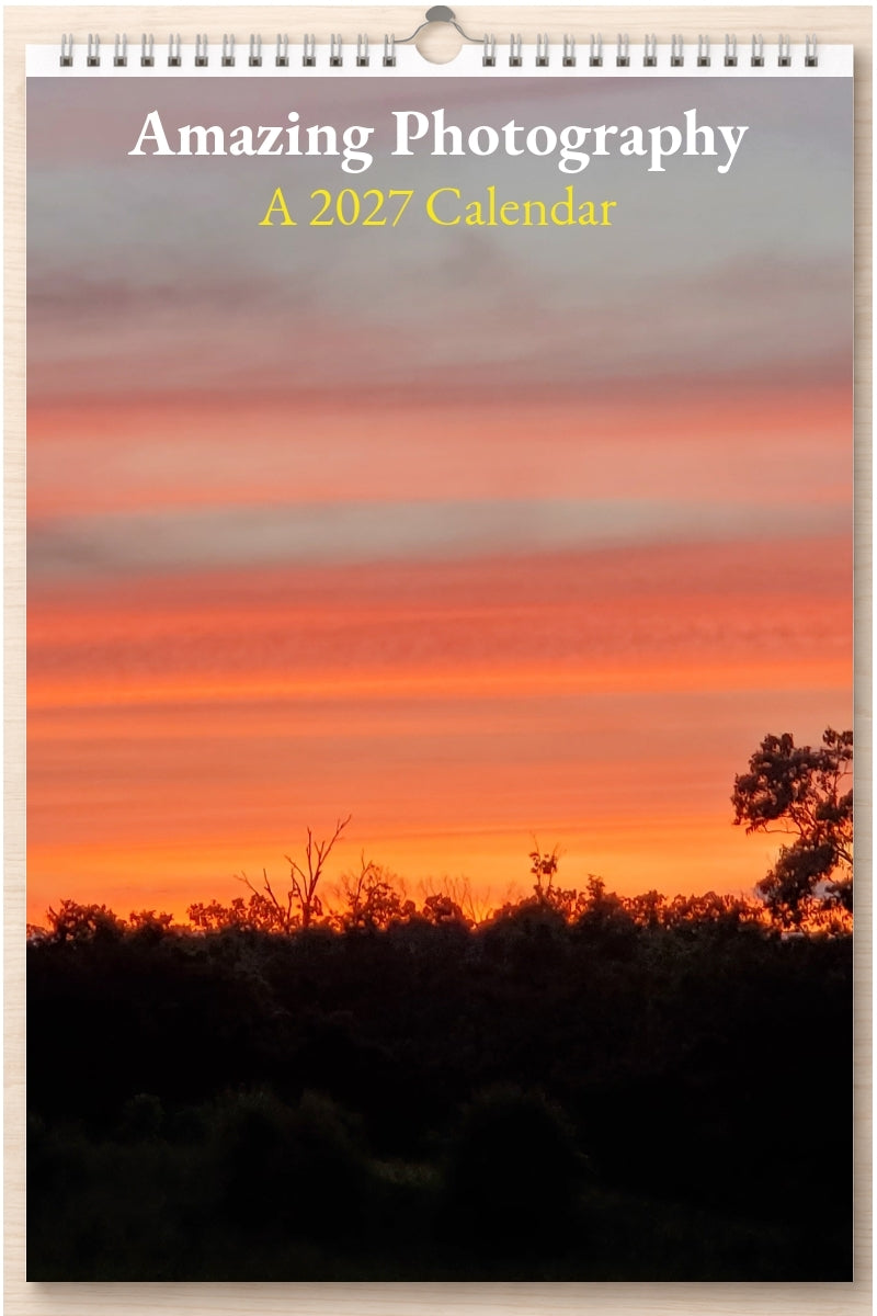Amazing Photography: A 2027 Calendar