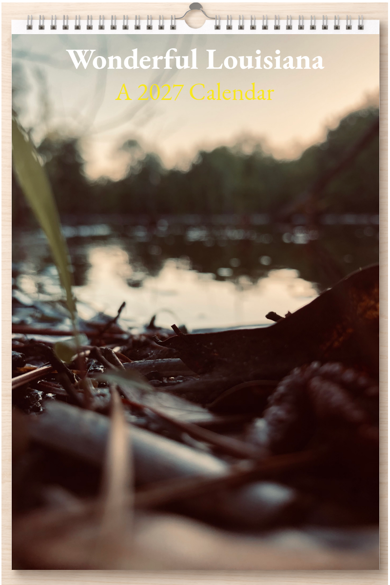 Wonderful Louisiana: A 2027 Calendar