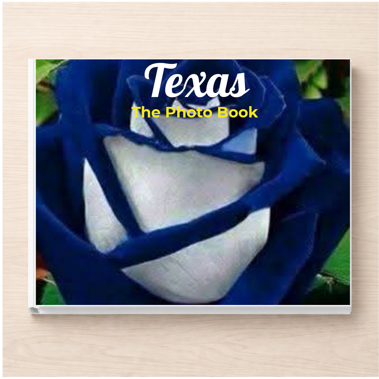 Texas: The Photo Book