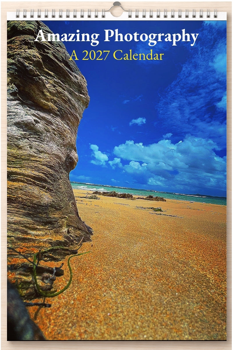 Amazing Photography: A 2027 Calendar