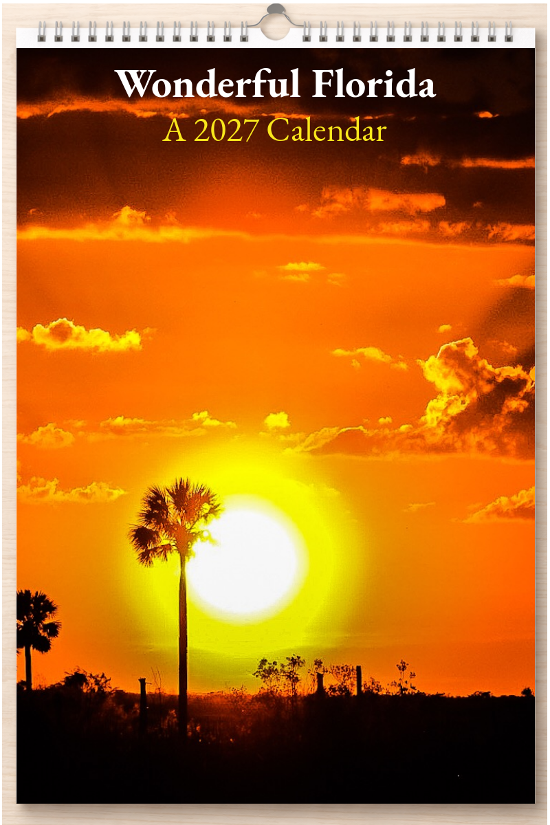 Wonderful Florida: A 2027 Calendar