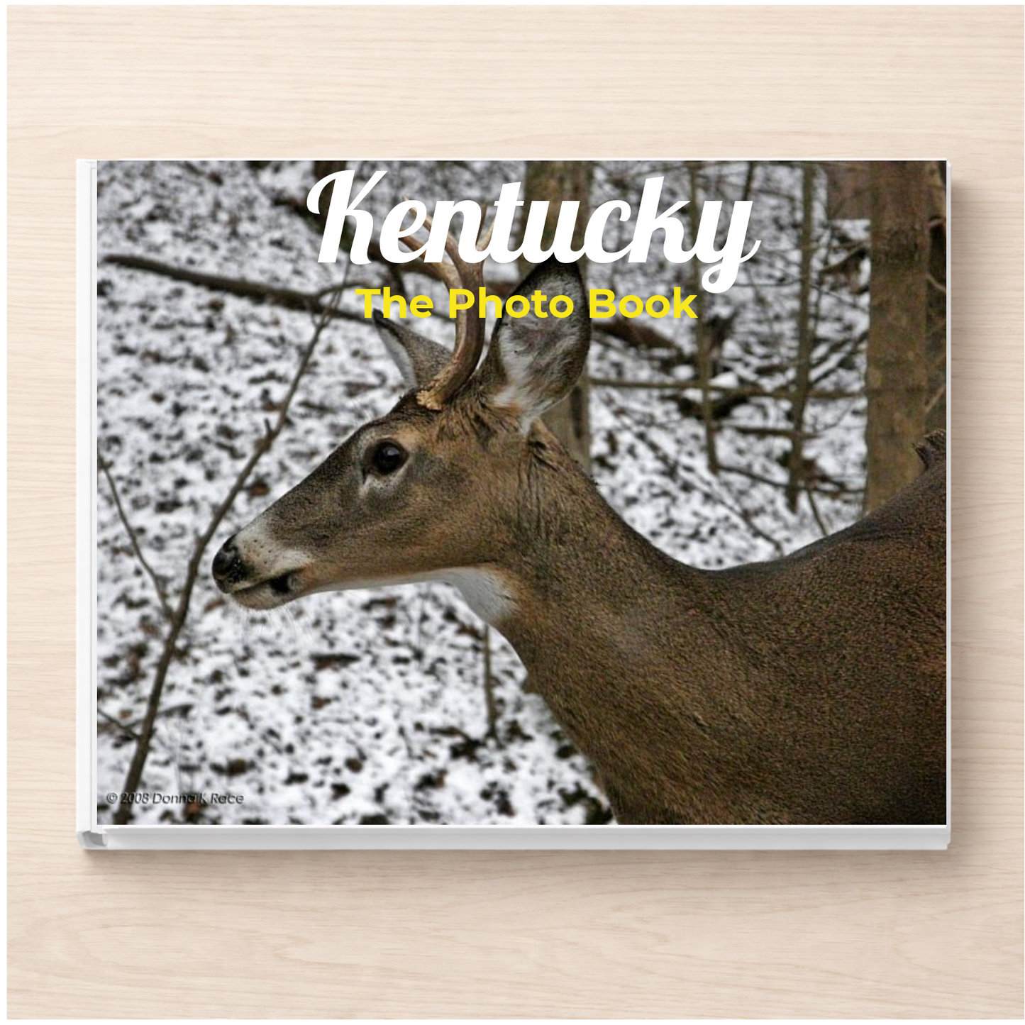 Kentucky: The Photo Book