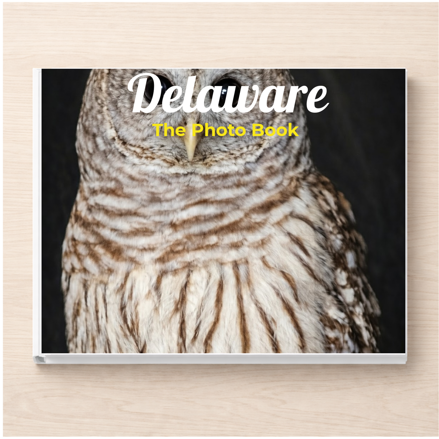 Delaware: The Photo Book