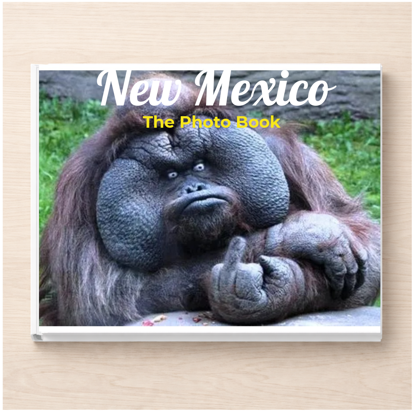 New Mexico: The Photo Book