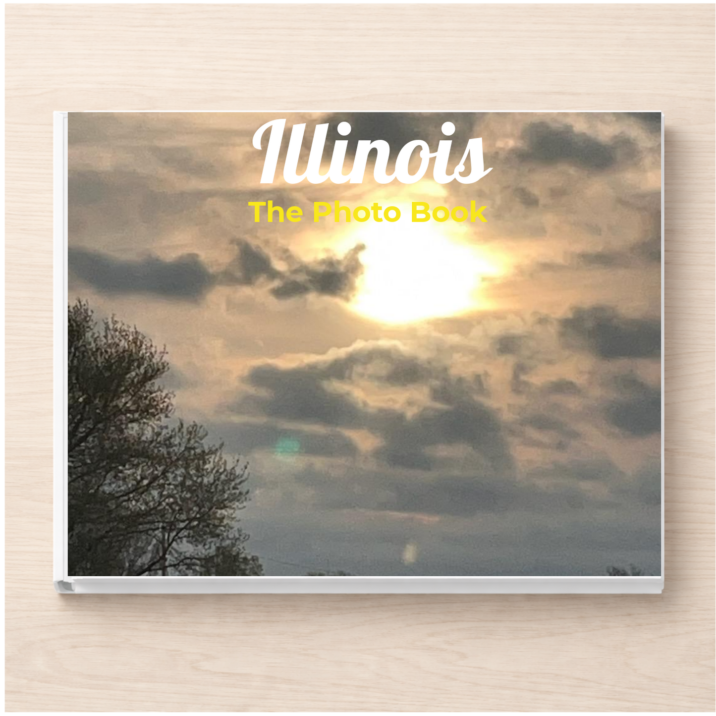 Illinois: The Photo Book
