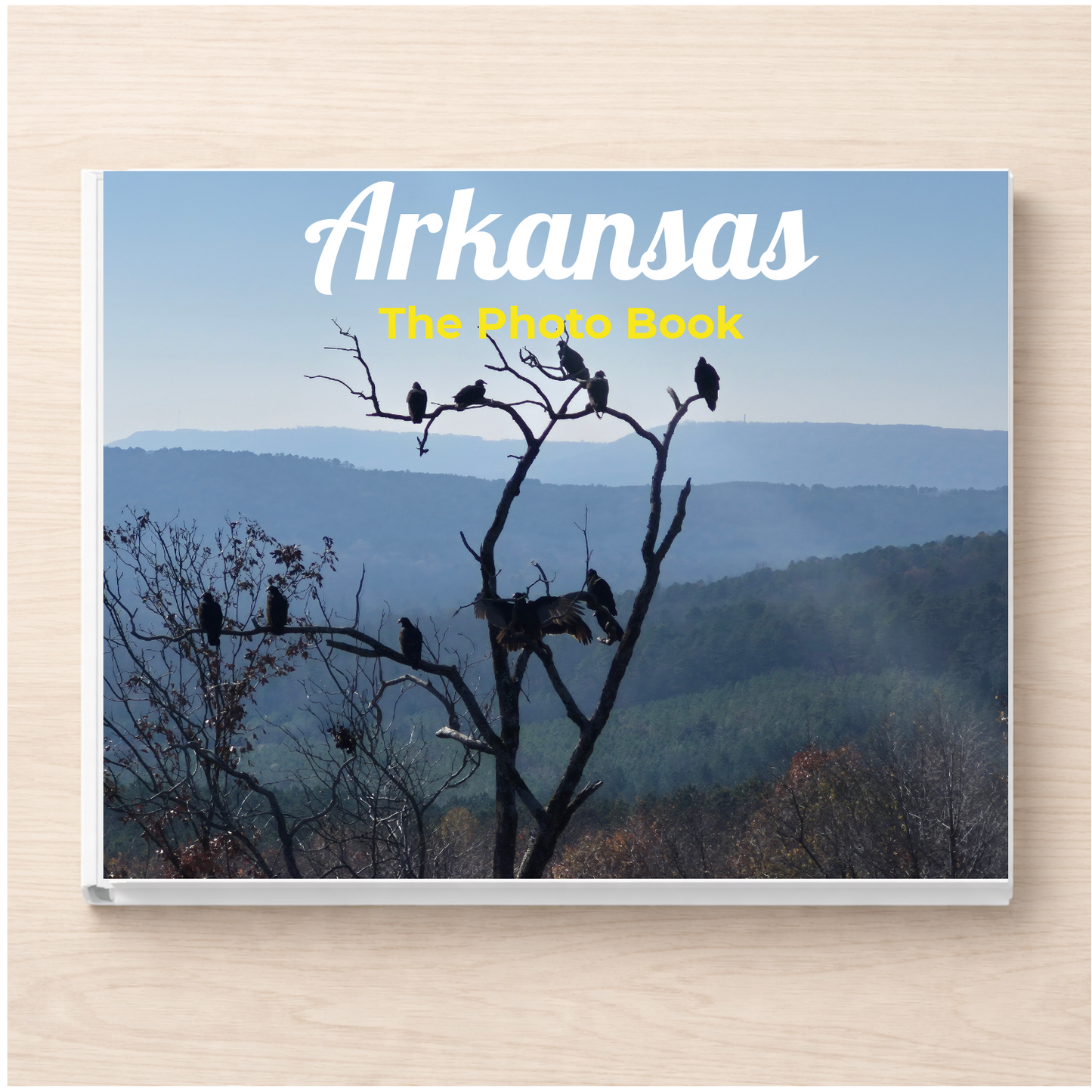 Arkansas: The Photo Book