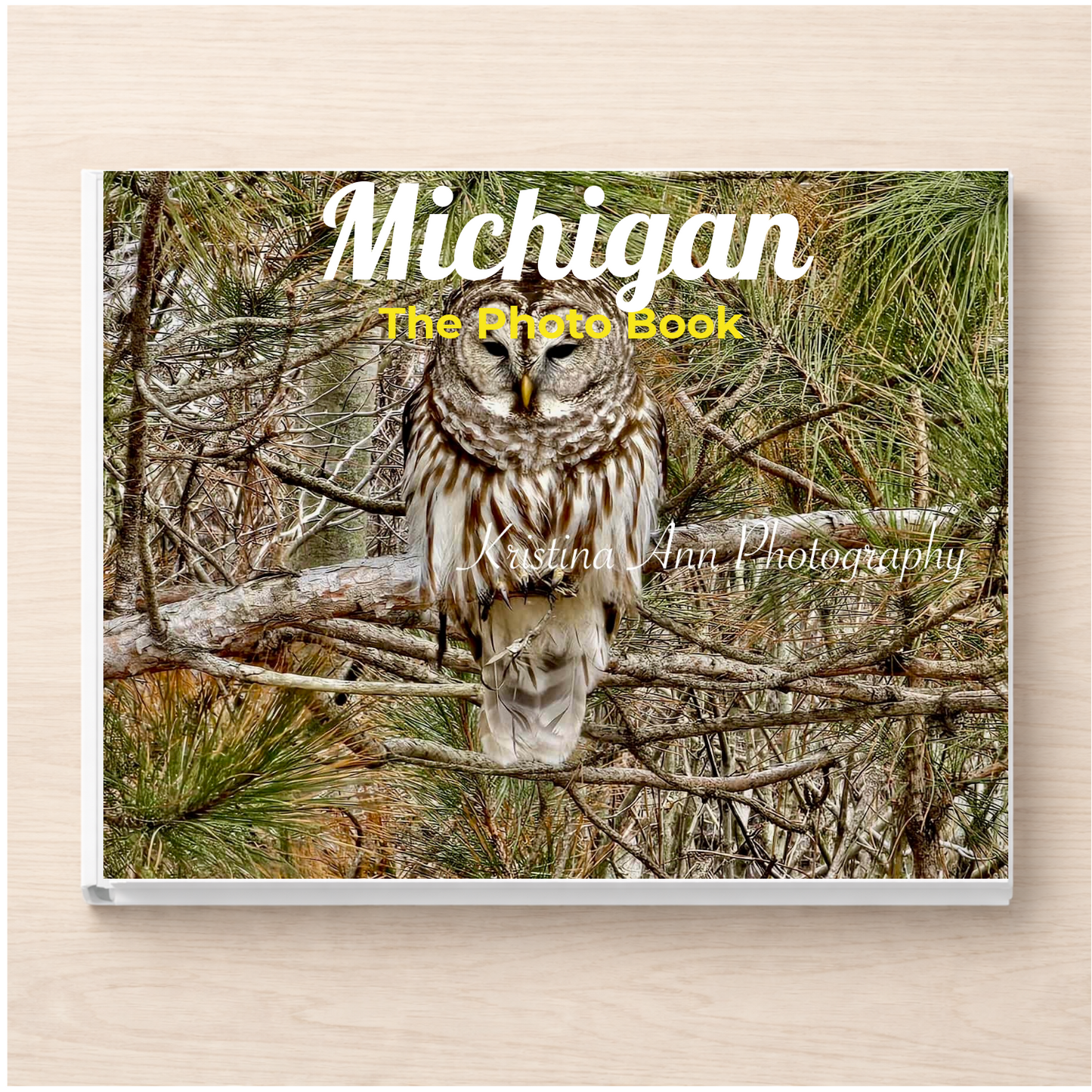 Michigan: The Photo Book
