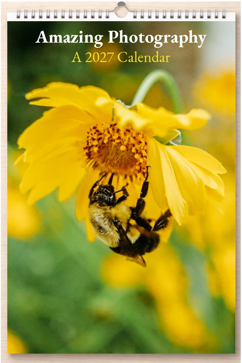Amazing Photography: A 2027 Calendar