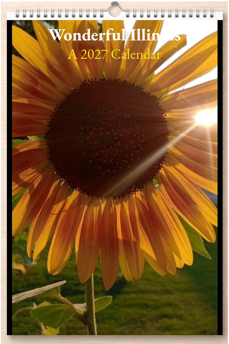 Wonderful Illinois: A 2027 Calendar