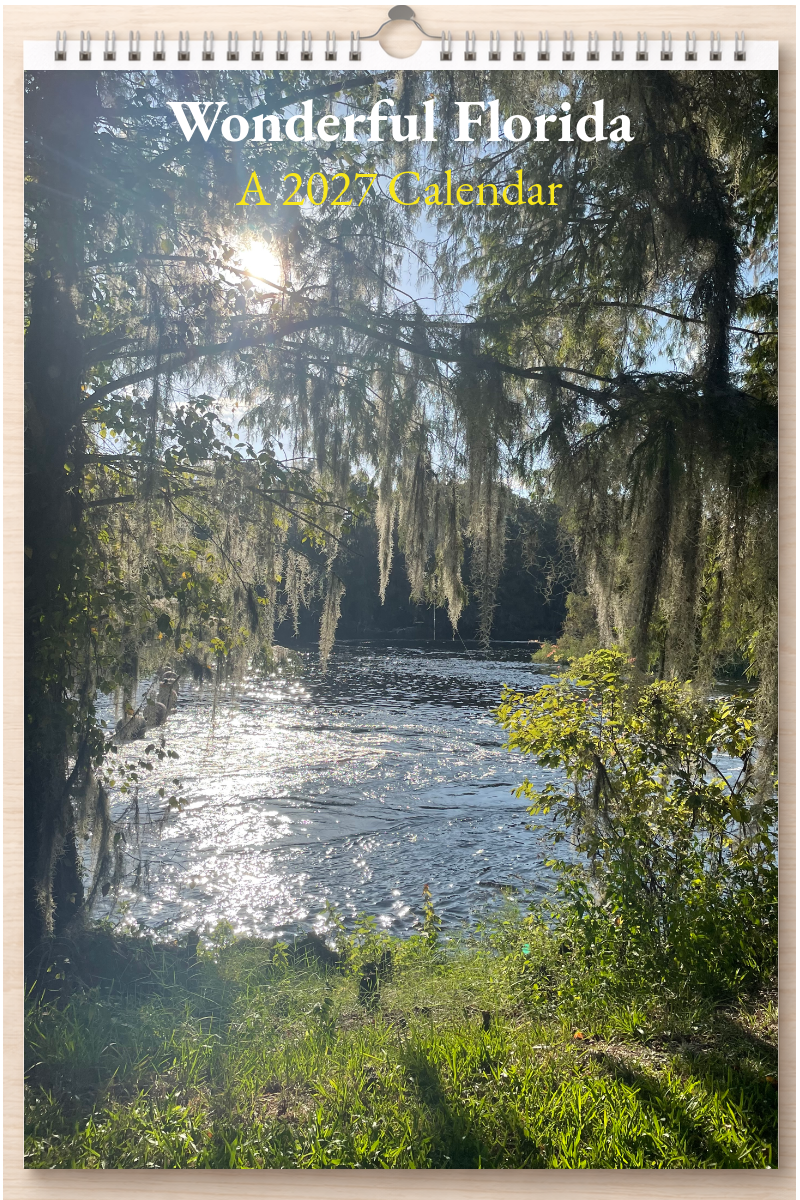 Wonderful Florida: A 2027 Calendar
