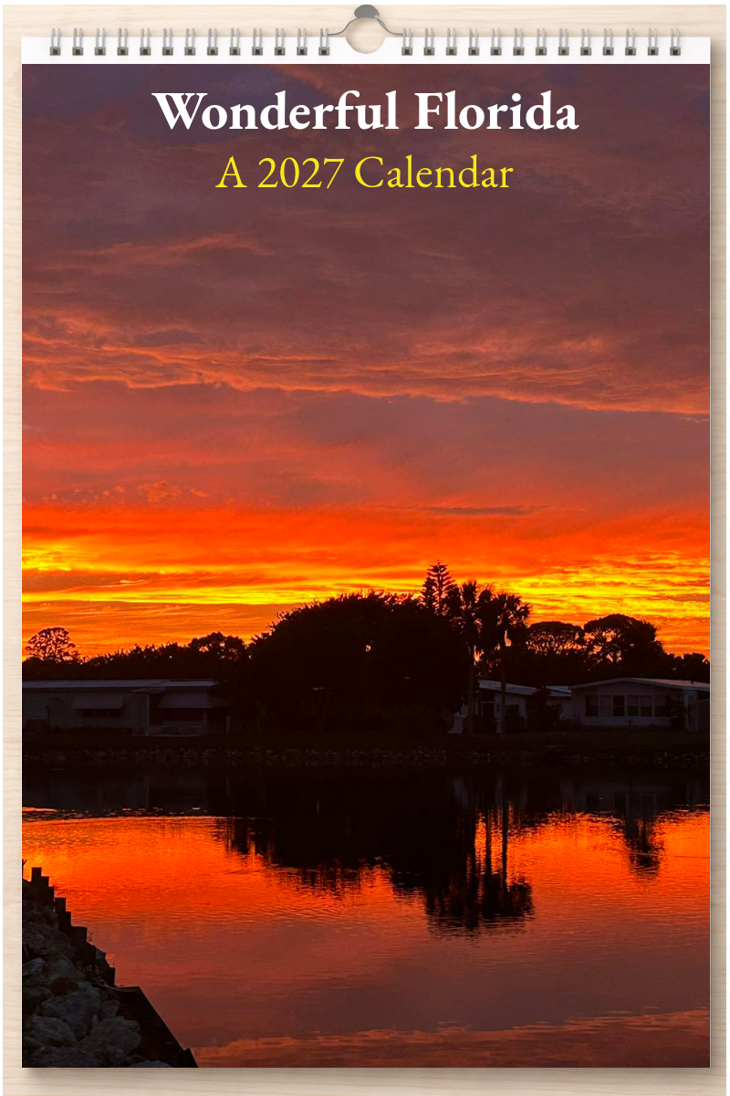 Wonderful Florida: A 2027 Calendar