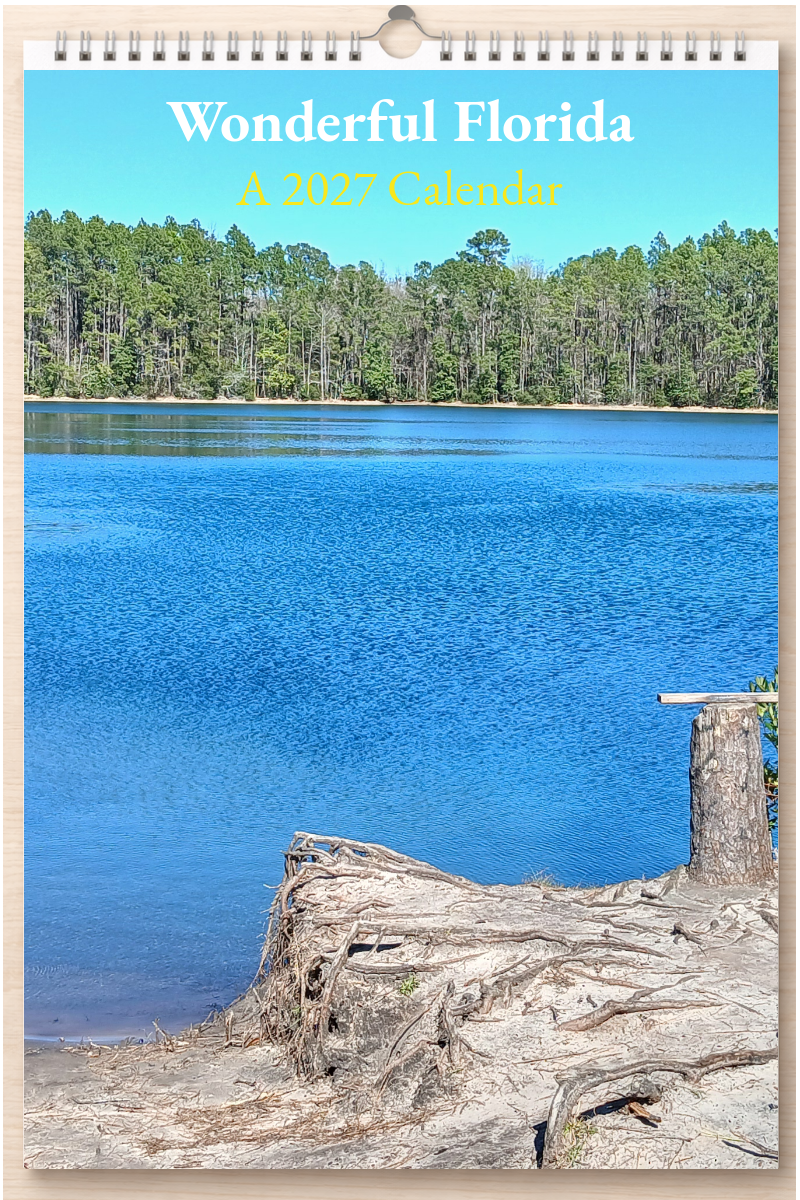 Wonderful Florida: A 2027 Calendar