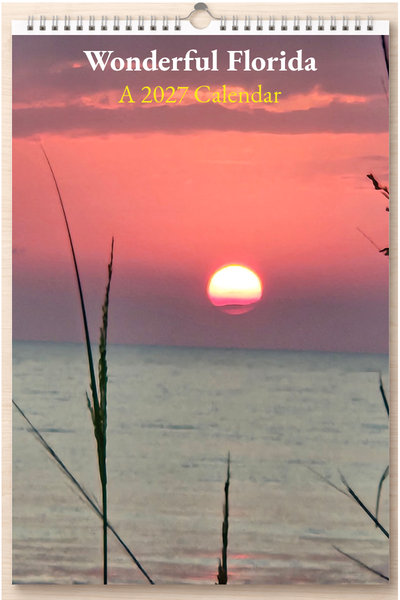 Wonderful Florida: A 2027 Calendar