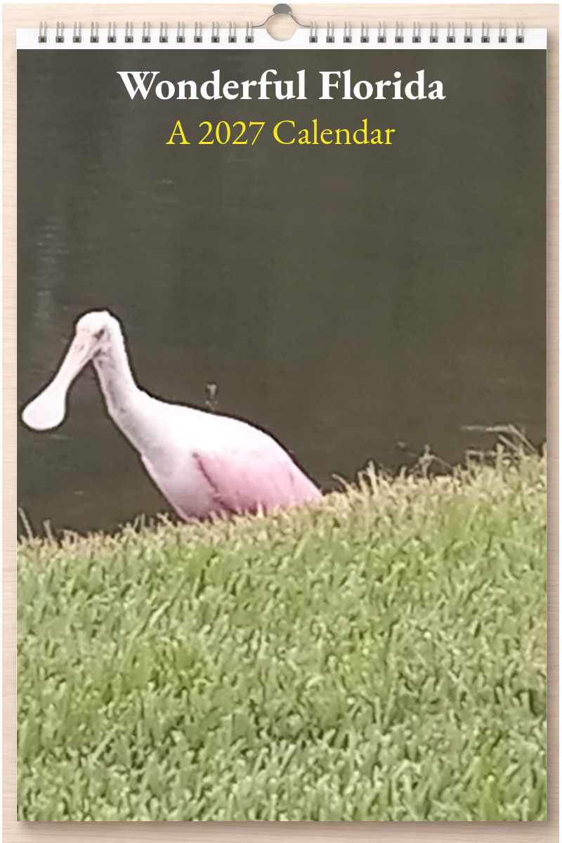 Wonderful Florida: A 2027 Calendar