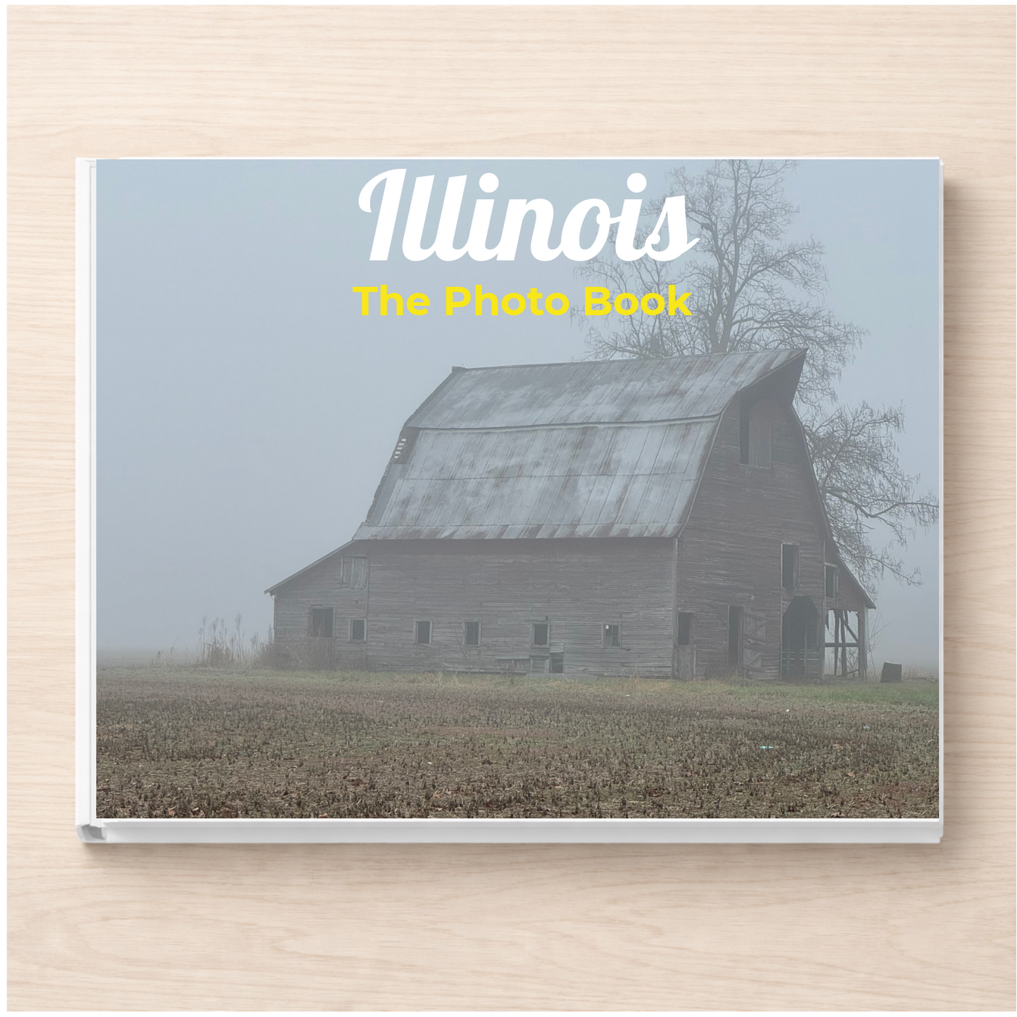 Illinois: The Photo Book