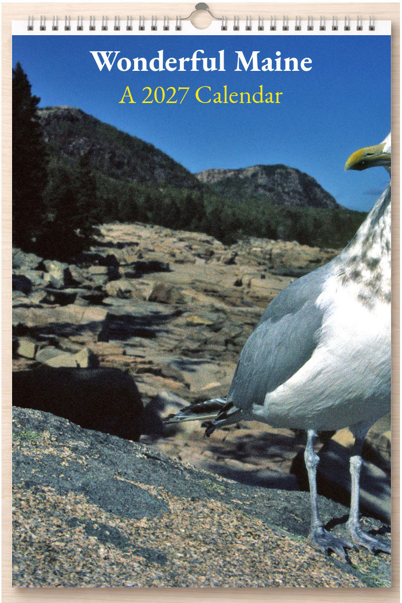 Wonderful Maine: A 2027 Calendar