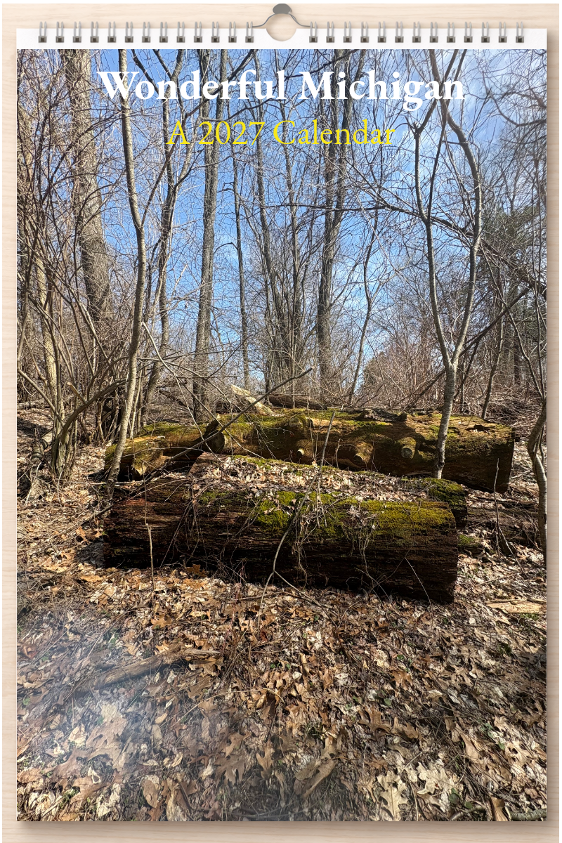 Wonderful Michigan: A 2027 Calendar
