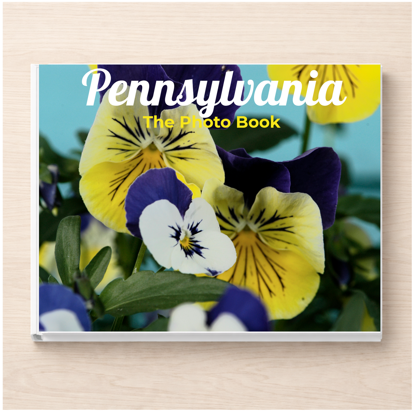 Pennsylvania: The Photo Book