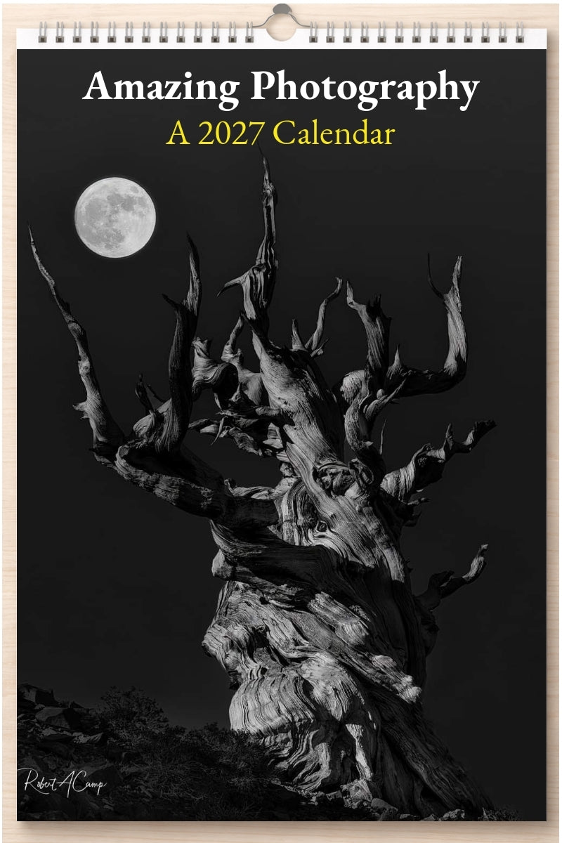 Amazing Photography: A 2027 Calendar