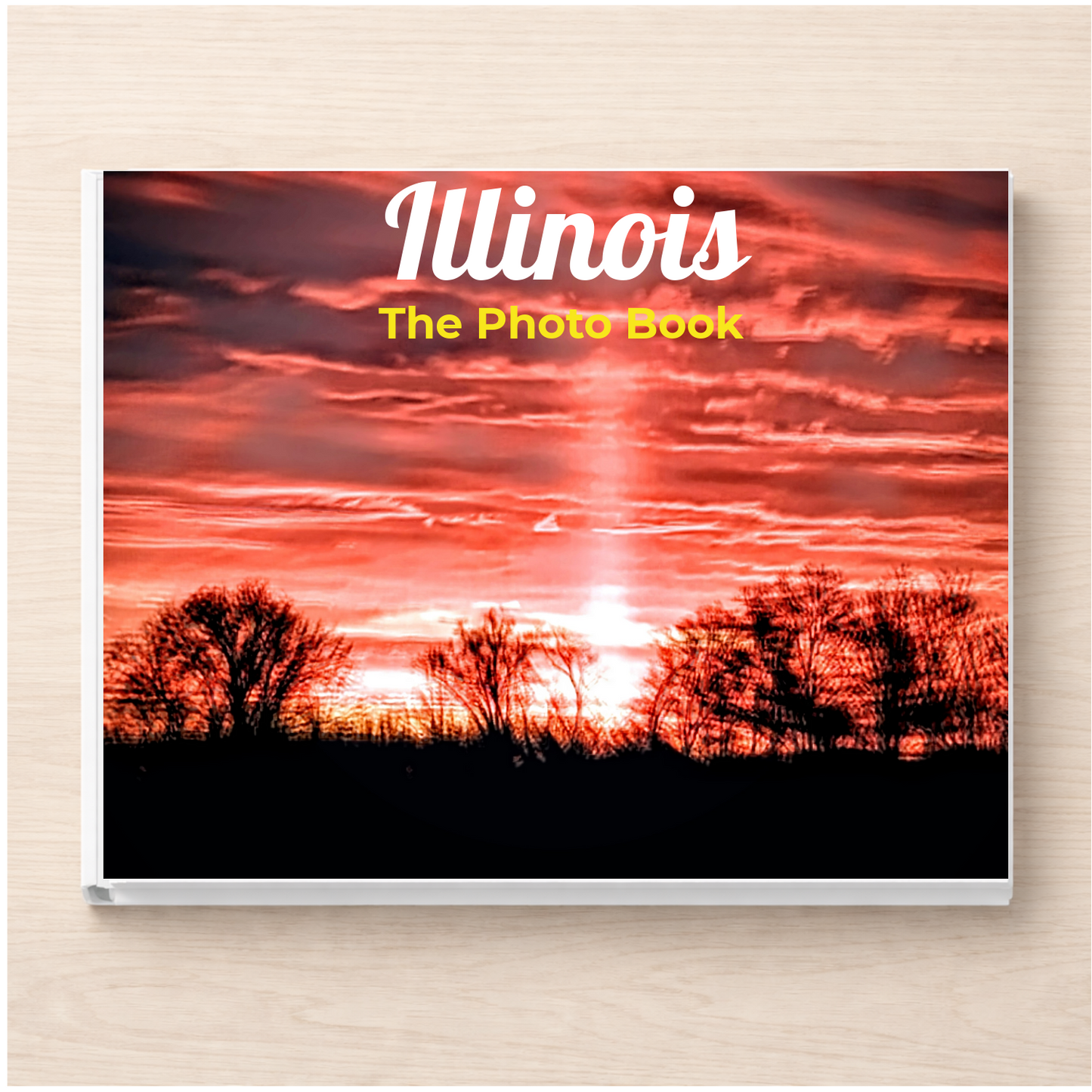 Illinois: The Photo Book