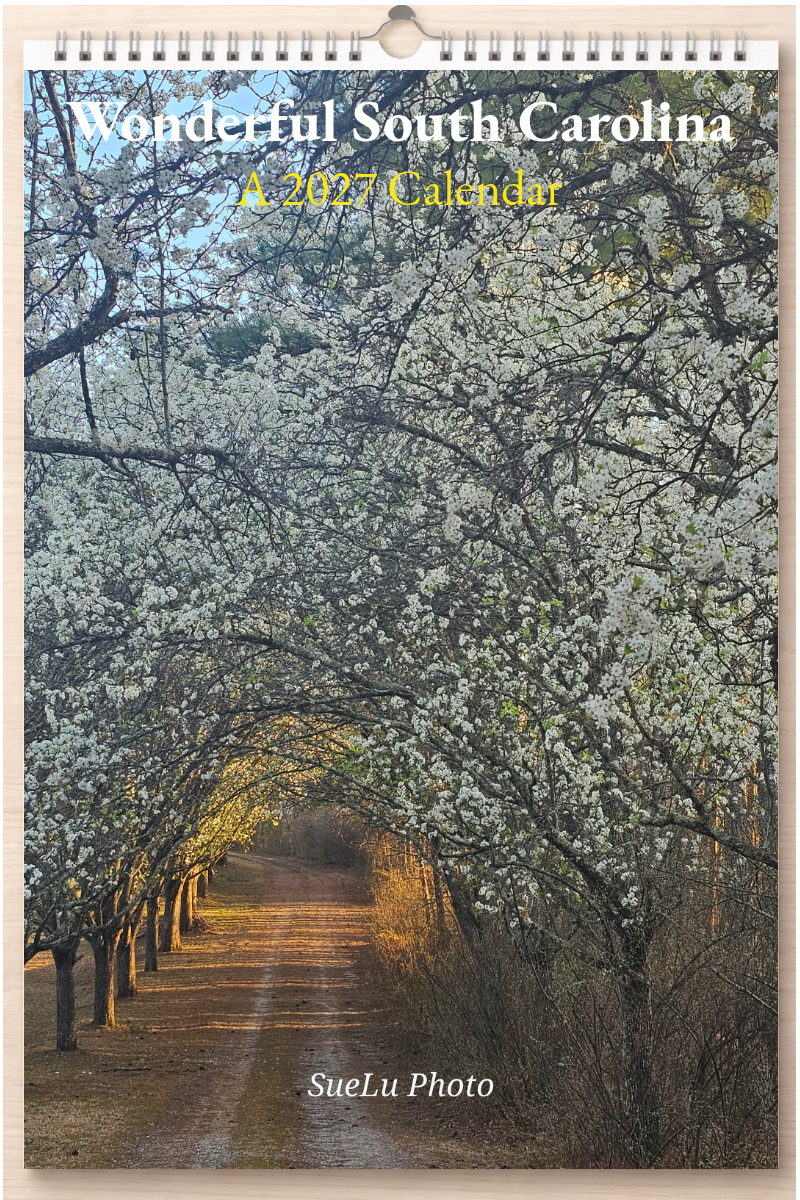 Wonderful South Carolina: A 2027 Calendar