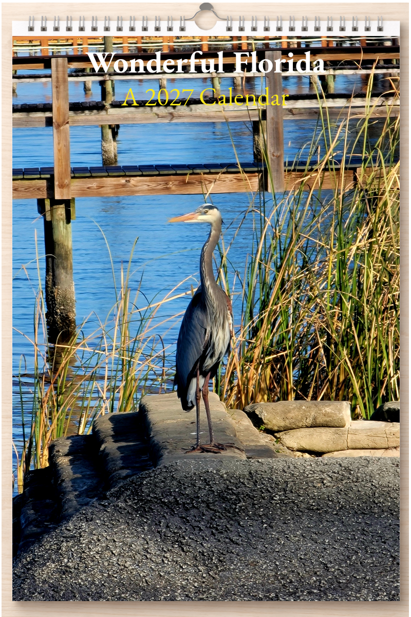 Wonderful Florida: A 2027 Calendar