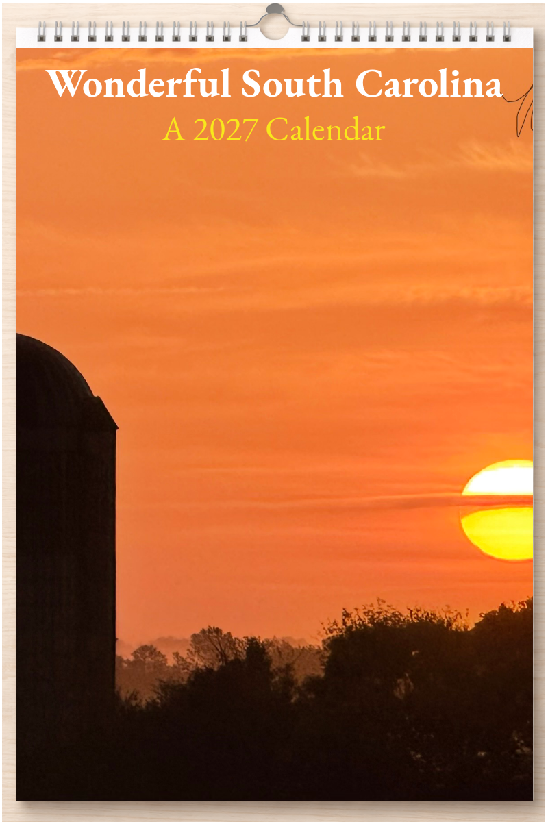 Wonderful South Carolina: A 2027 Calendar