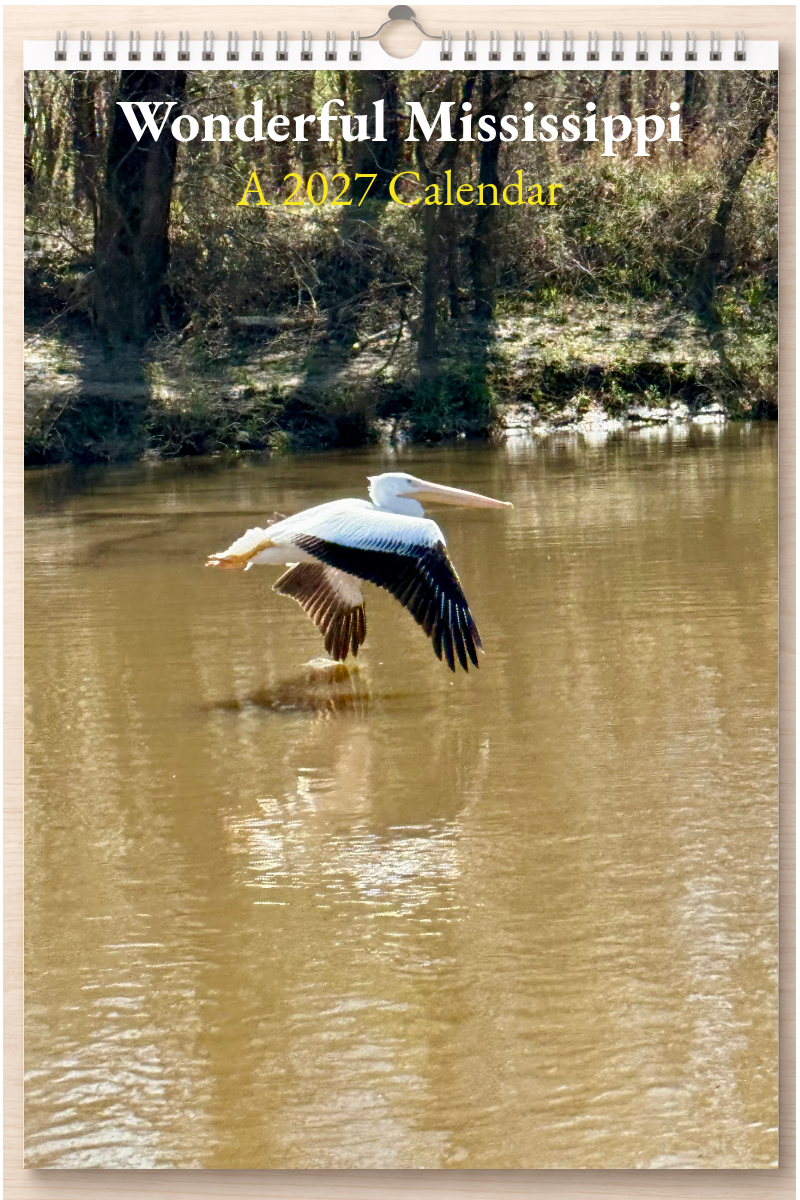 Wonderful Mississippi: A 2027 Calendar