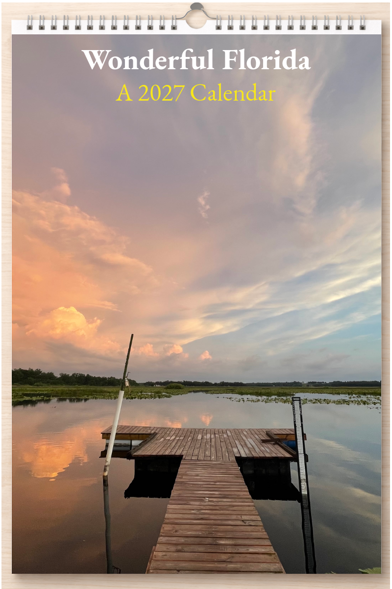 Wonderful Florida: A 2027 Calendar
