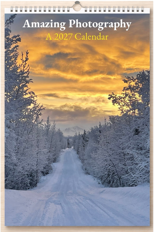 Amazing Photography: A 2027 Calendar
