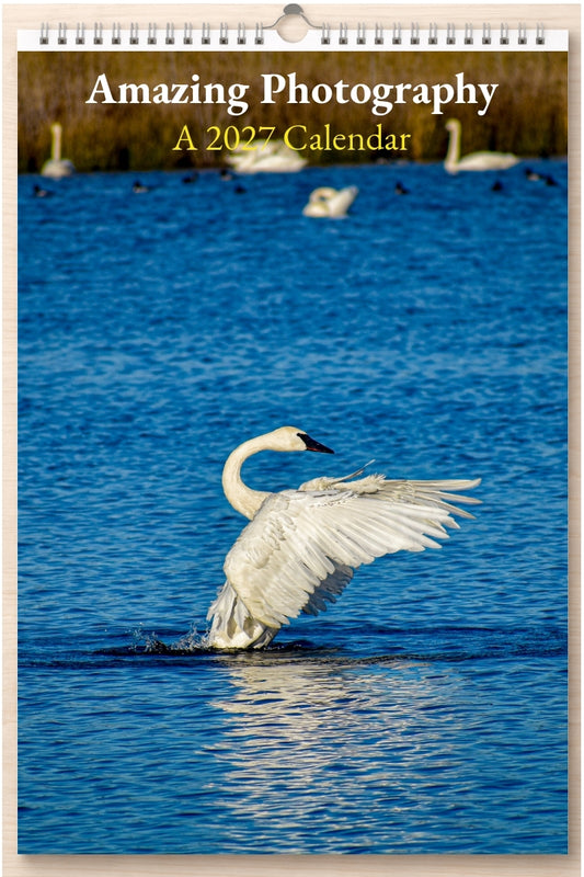 Amazing Photography: A 2027 Calendar
