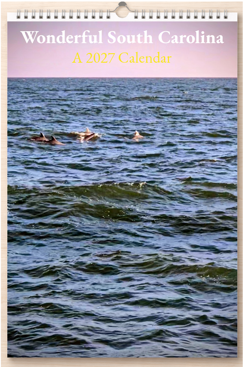 Wonderful South Carolina: A 2027 Calendar