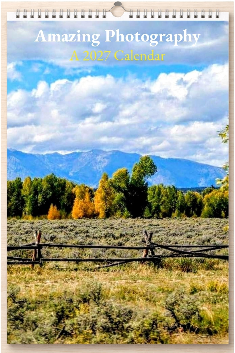 Amazing Photography: A 2027 Calendar