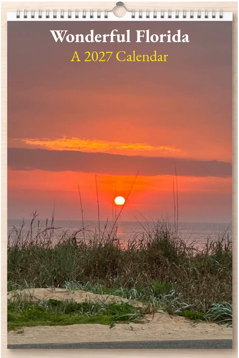 Wonderful Florida: A 2027 Calendar