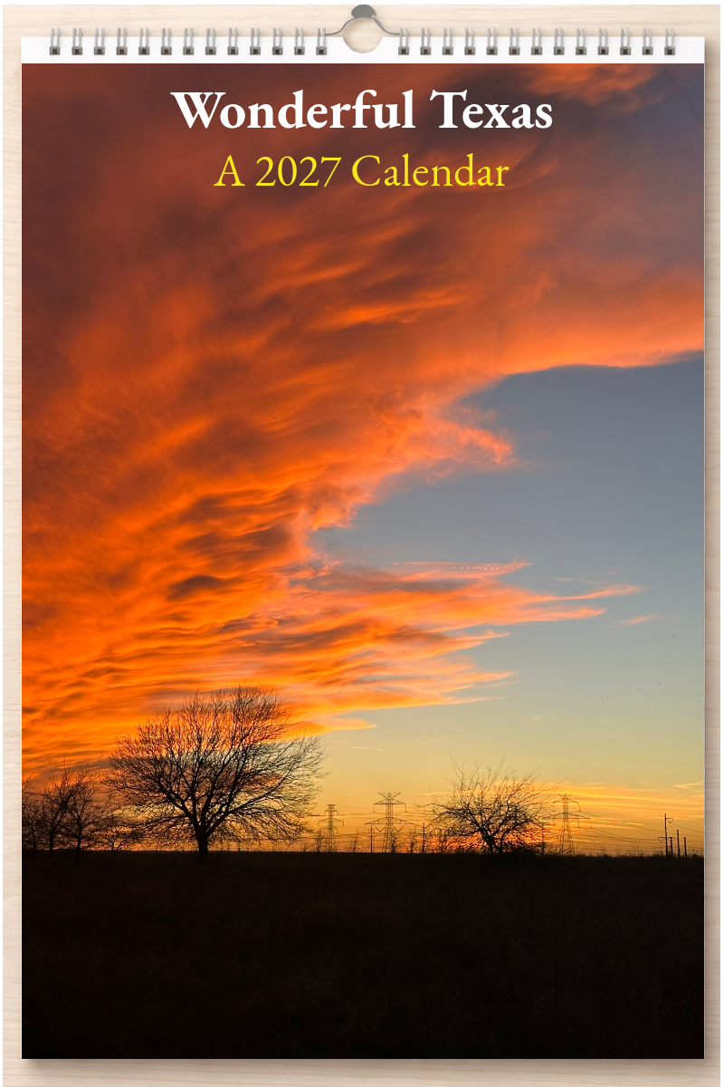 Wonderful Texas: A 2027 Calendar