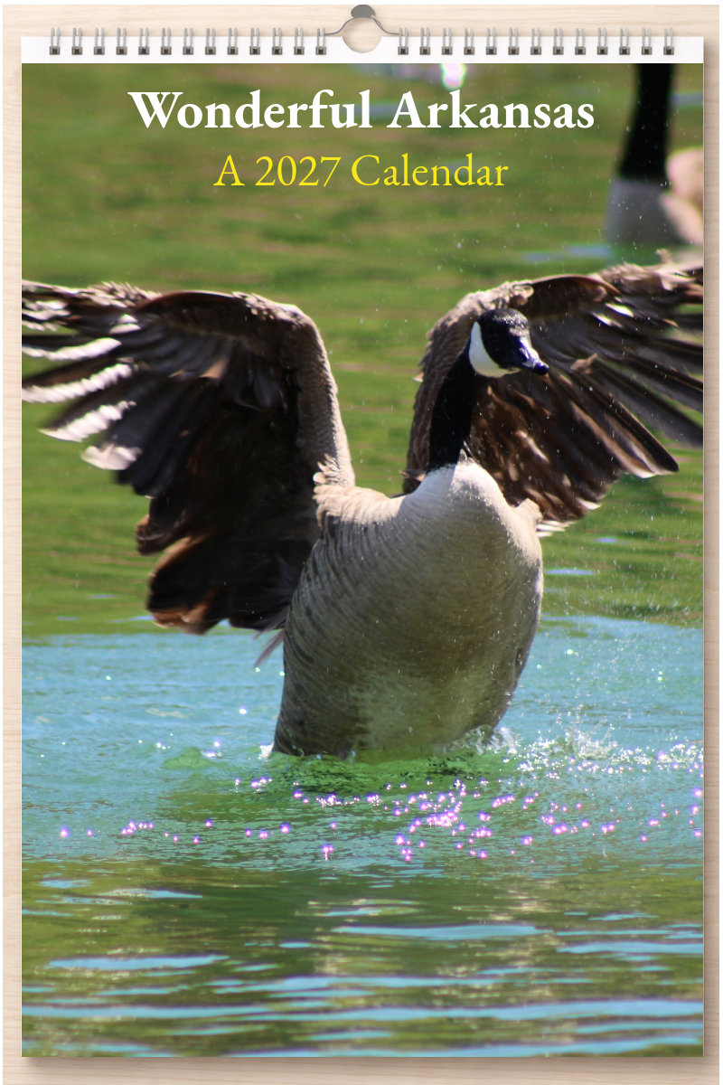 Wonderful Arkansas: A 2027 Calendar