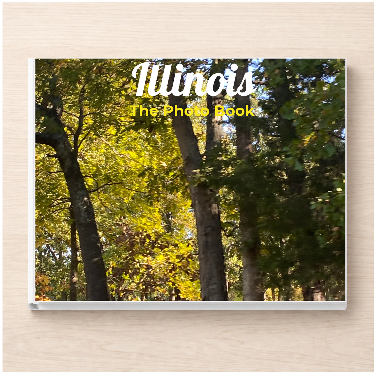 Illinois: The Photo Book