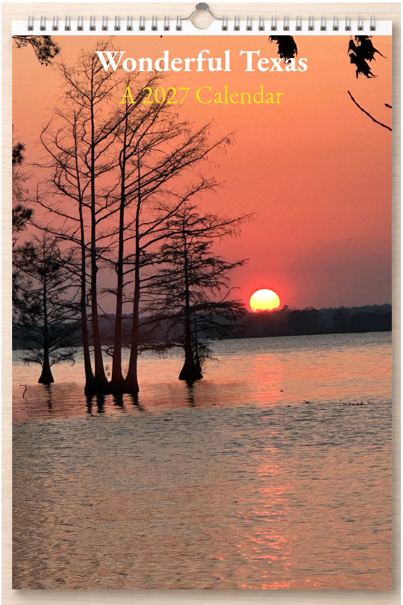 Wonderful Texas: A 2027 Calendar