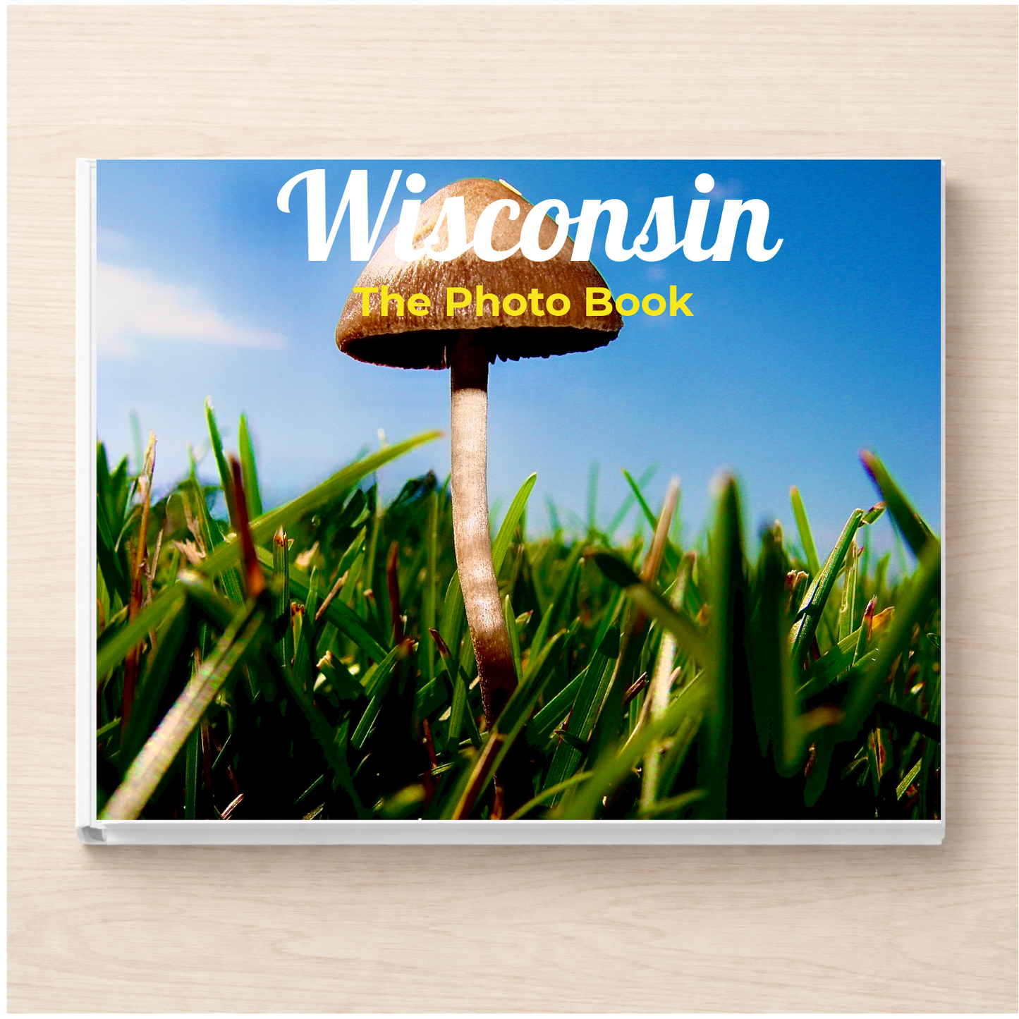 Wisconsin: The Photo Book