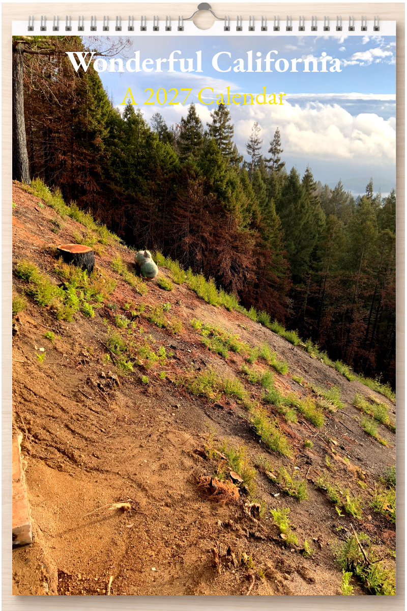 Wonderful California: A 2027 Calendar