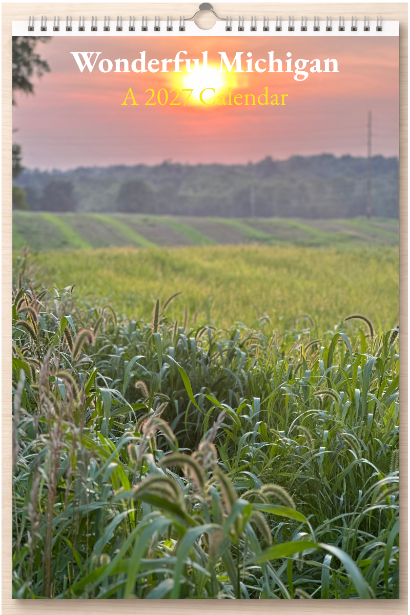 Wonderful Michigan: A 2027 Calendar