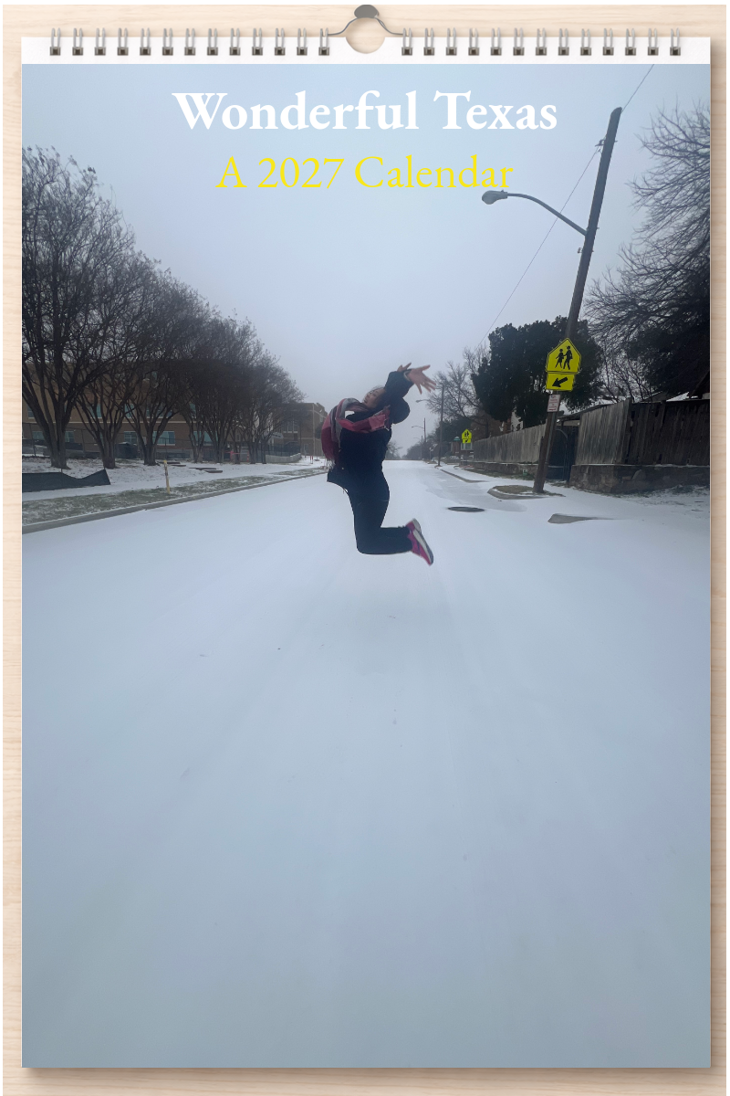 Wonderful Texas: A 2027 Calendar